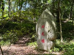 -上海佘山国家森林公园天马山园