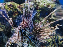 -大连老虎滩海洋公园