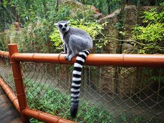 -北京野生动物园