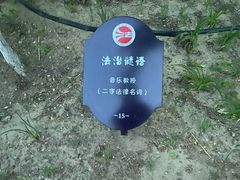 -大兴滨河森林公园