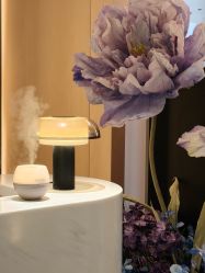 -蘭FACE·海菲秀飞顿Med SPA