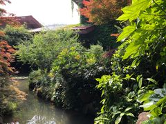 -中国茶叶博物馆(双峰馆区)