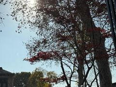 -杭州西湖柳莺里酒店·闻莺厅