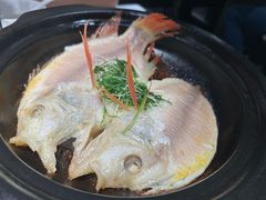 -陶陶居酒家(新天地店)
