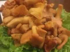 -野菌皇海景野生菌火锅(滨海大道店)