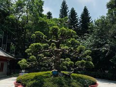 -成都七中(林荫校区)