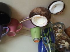 -志龙皇冠吃货椰子铺