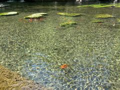 -水磨沟公园