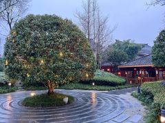 -青城山六善酒店·紫氣園中餐厅