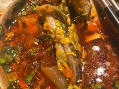 三角峰-肖肖酸萝卜鱼火锅(总店)