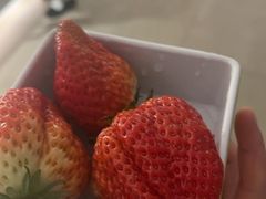 -碧涛阁•泡泡海洋(王府花园店)