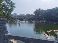 -莲湖公园