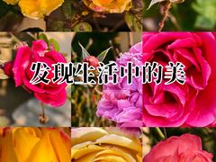 -成都当代影像馆