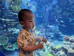-欢乐海岸海洋奇梦馆