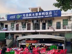 -霞姐屯昌枫木香草鸭店(海螺店)