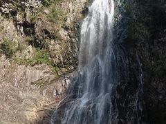 -龙湾潭国家森林公园