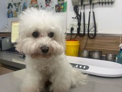 -爱侣宠医·鹦鹉专科·小型哺乳类·异宠专科(灵石路店)