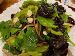 -老保定驴肉馆(云岗路店)