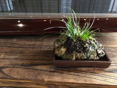 -煮雨小筑(斜塘老街店)