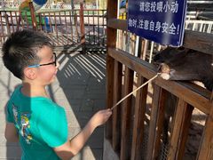 -北京鹿世界主题园