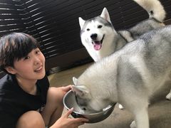 -TrueLove @ Neverland (Husky Cafe)