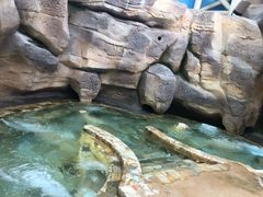 景点-杭州开元森泊度假乐园