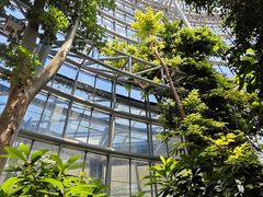 -郑州植物园