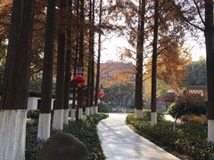 -郑和公园