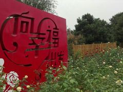 -密云玫瑰情园