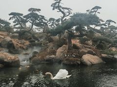 -罗红摄影艺术馆