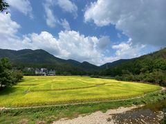 -荣小馆(临海世纪花城店)