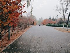 -永定河休闲森林公园