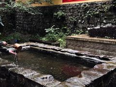 -天目山大树王景区