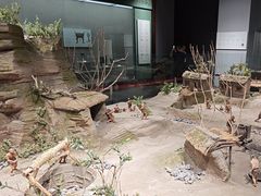 -平原博物院