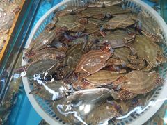 -海云庵农贸市场