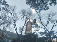 -八大处公园