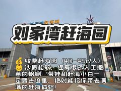 -日照海滨国家森林公园