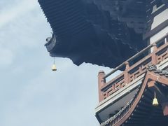 -洋湖国家湿地公园