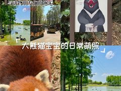 -合肥野生动物园
