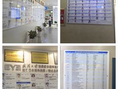 -武汉大学附属爱尔眼科医院(湖北总院)