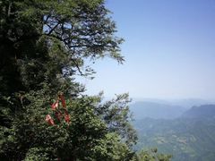 -塔云山