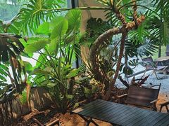 -J Create城市露营咖啡·简餐·宠物(上海动物园店)