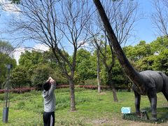 -东钱湖水上乐园(南门)