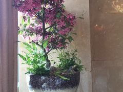 -听松楼-中餐厅.家宴(红梅公园店)