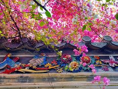 -深圳国际园林花卉博览园