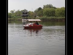 -杭州湾海上花田景区