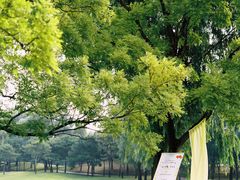 -北京京辉高尔夫俱乐部有限公司