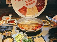 -手选潮汕鲜活牛肉火锅(二七广场店)