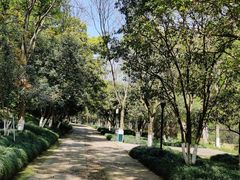 -杭州少年儿童公园