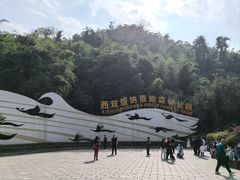 -西双版纳原始森林公园